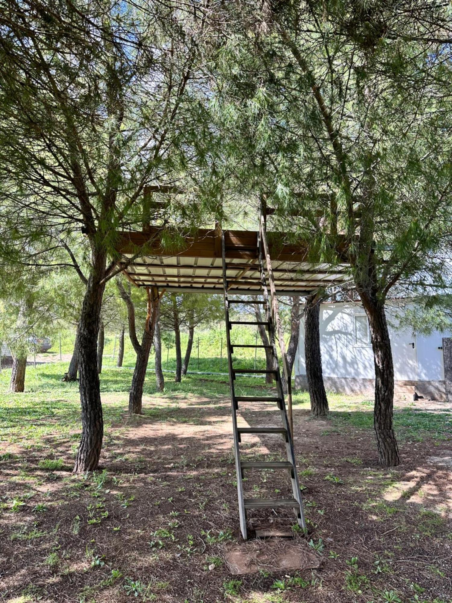 Bungalow Infanta Torrelaguna 外观 照片