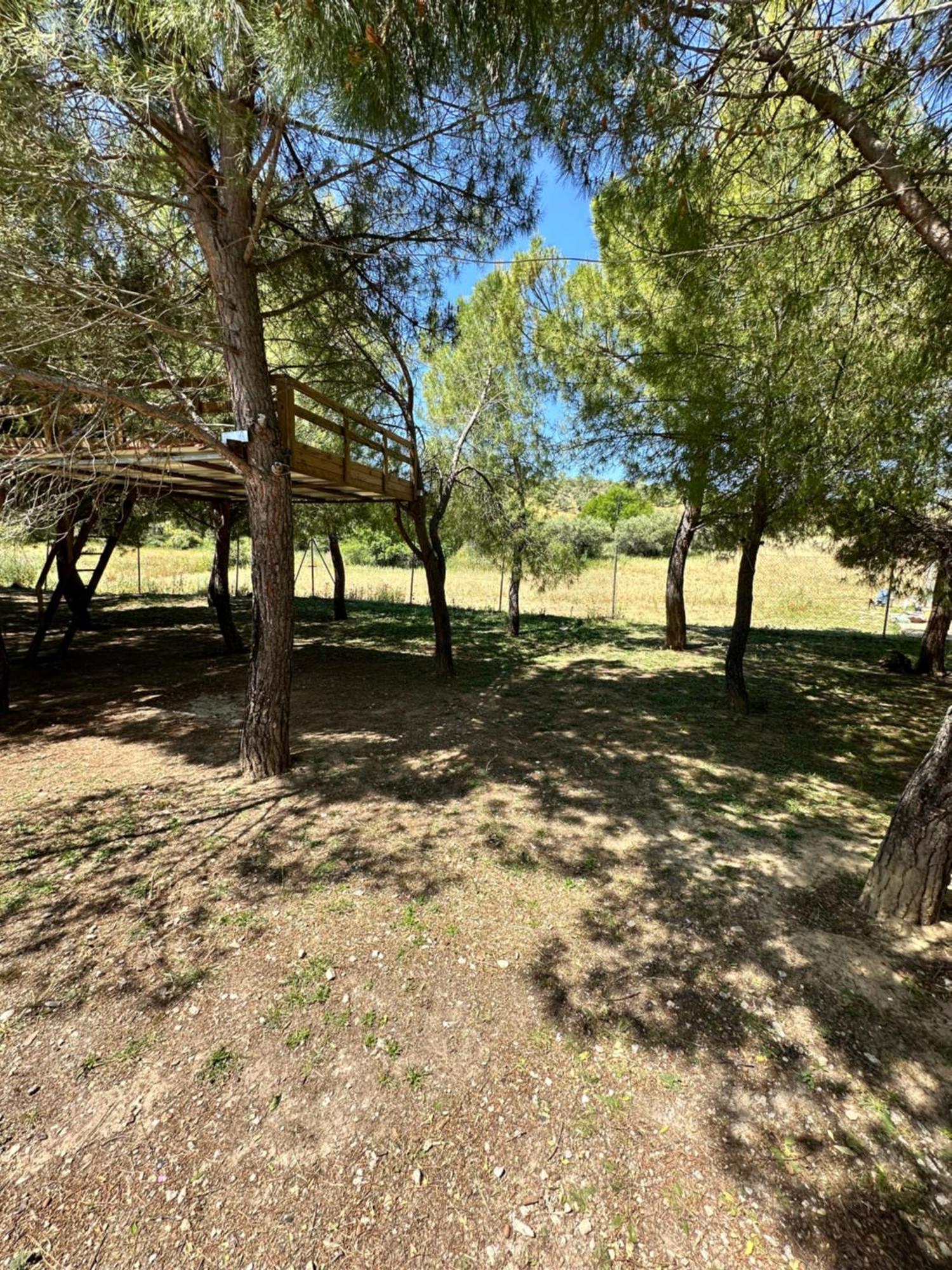Bungalow Infanta Torrelaguna 外观 照片
