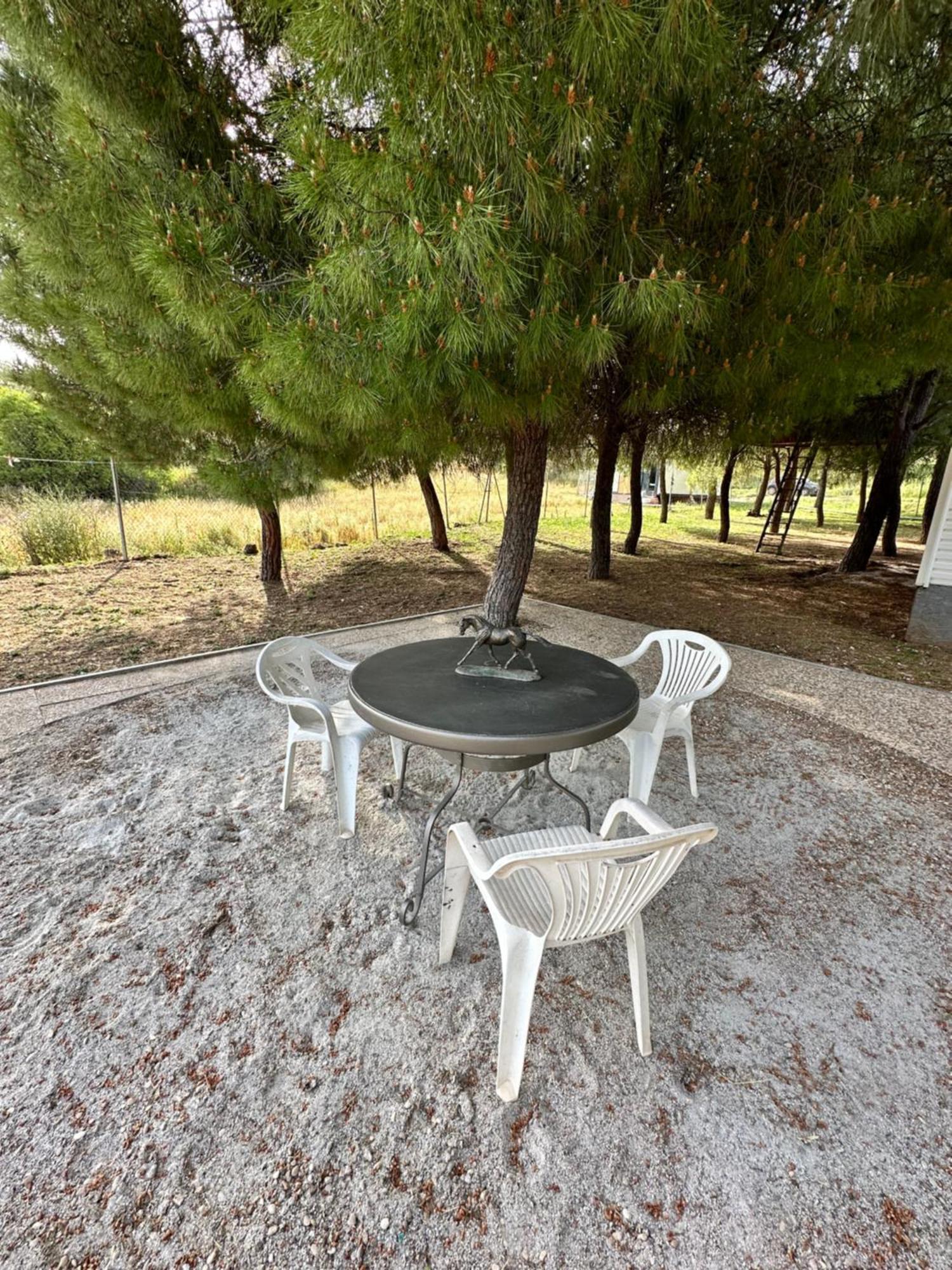 Bungalow Infanta Torrelaguna 外观 照片