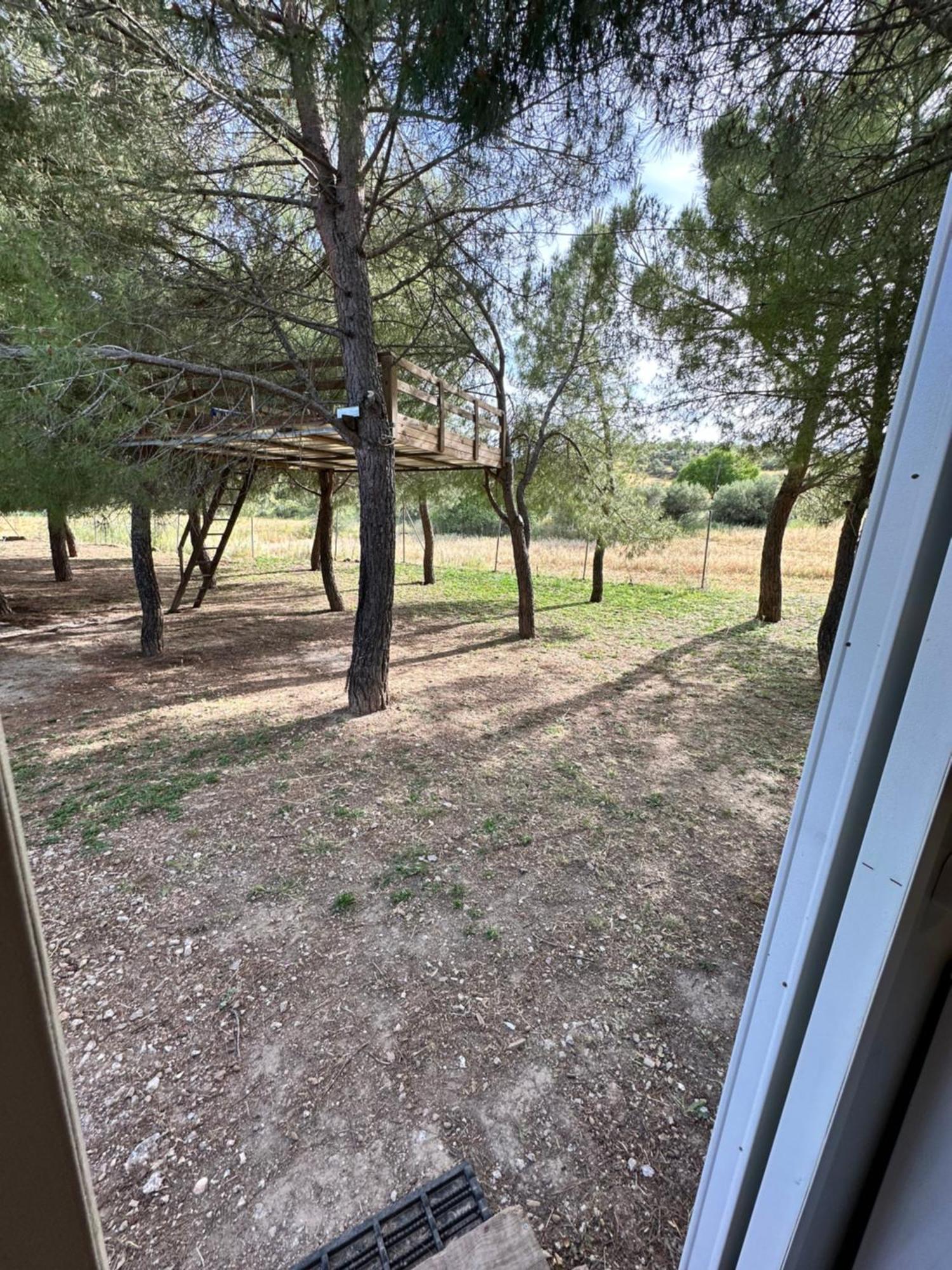 Bungalow Infanta Torrelaguna 外观 照片